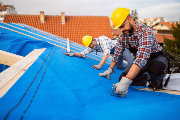 Roof Gutter Cleaning in Parklawn, CA